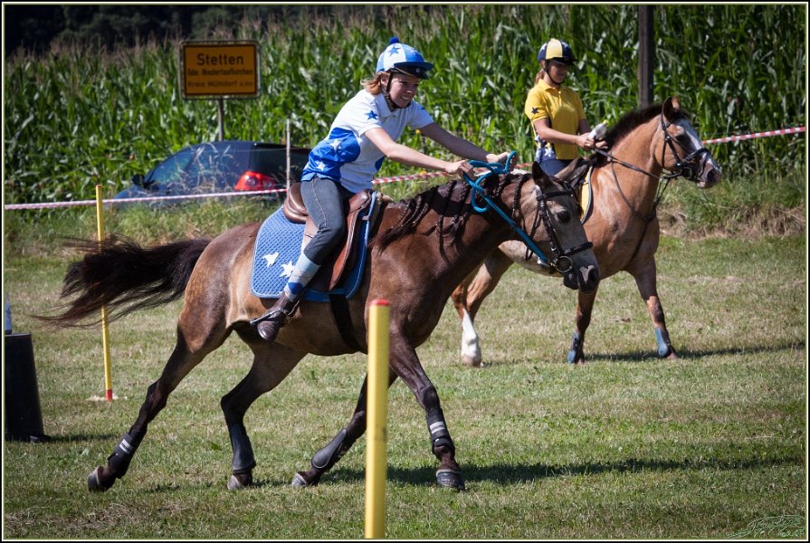 Mounted Games 080